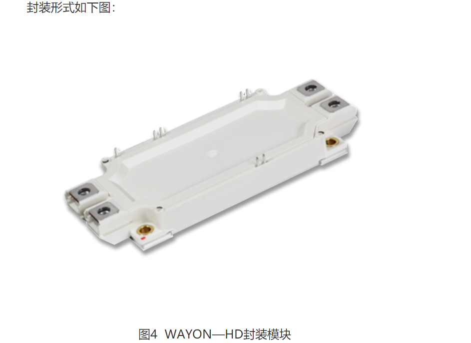 Wayon  IGBT,維安IGBT,新能源汽車IGBT，維安代理商，Wayon代理商