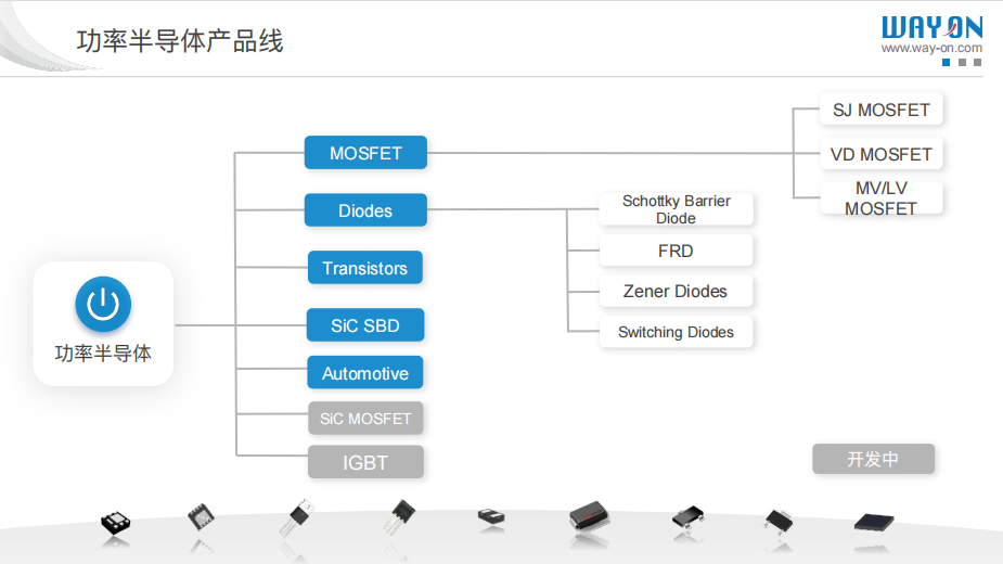 WAYON代理商，維安MOS管，維安SBD，肖特基二三極管，維安LDO線性穩(wěn)壓，PTC，保險絲，ESD ，IGBT ，OVP， TVS代理商.png